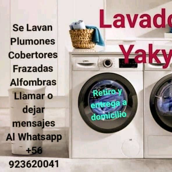 Precio top lavado plumon