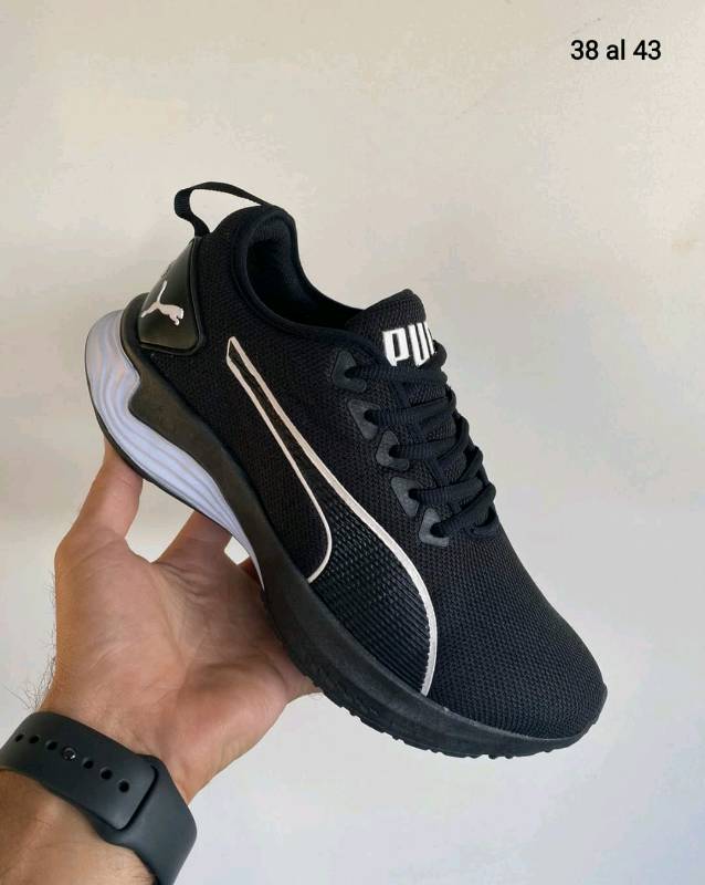 Champion puma original store