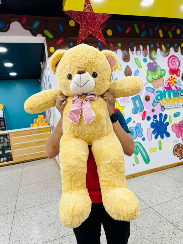 Mega Oso de peluche en Maracaibo