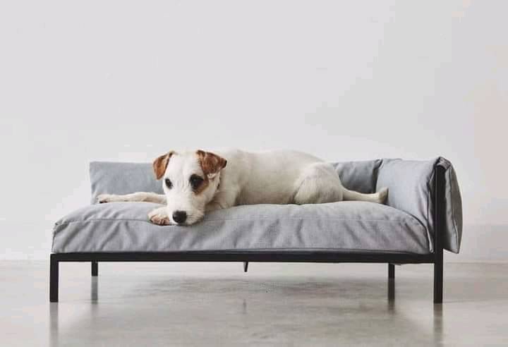 Cama perro deals estilo nordico