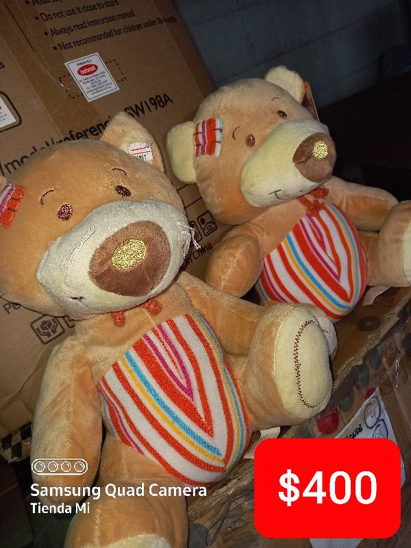 Hermosos ositos en Cebollati