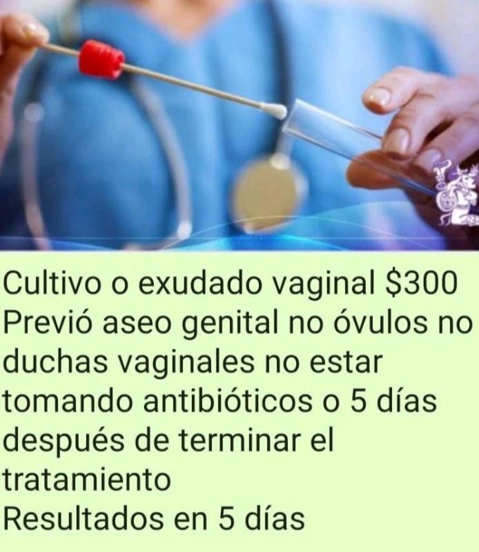 Cultivo vaginal o exudado vaginal en