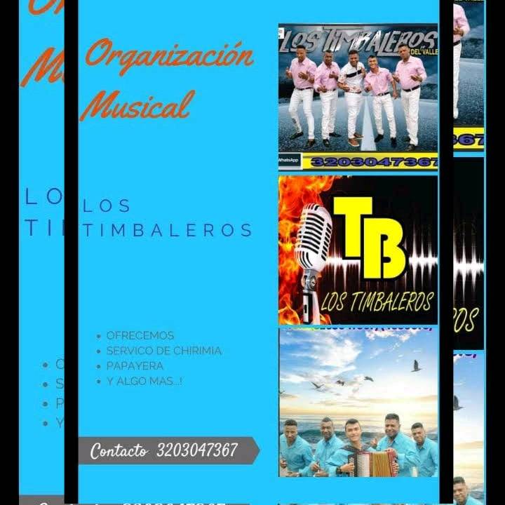 LOS TIMBALEROS Grupo musical. 3203047367 en Medellín