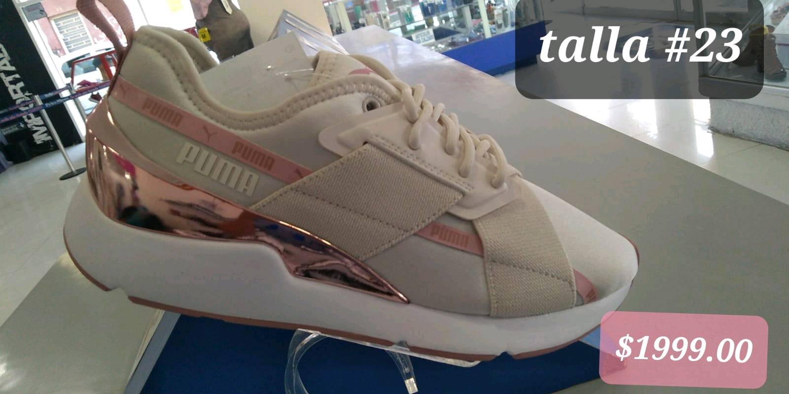 Puma en Tuxtla Gutierrez