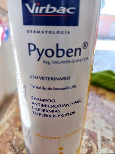 Shampoo top virbac pyoben