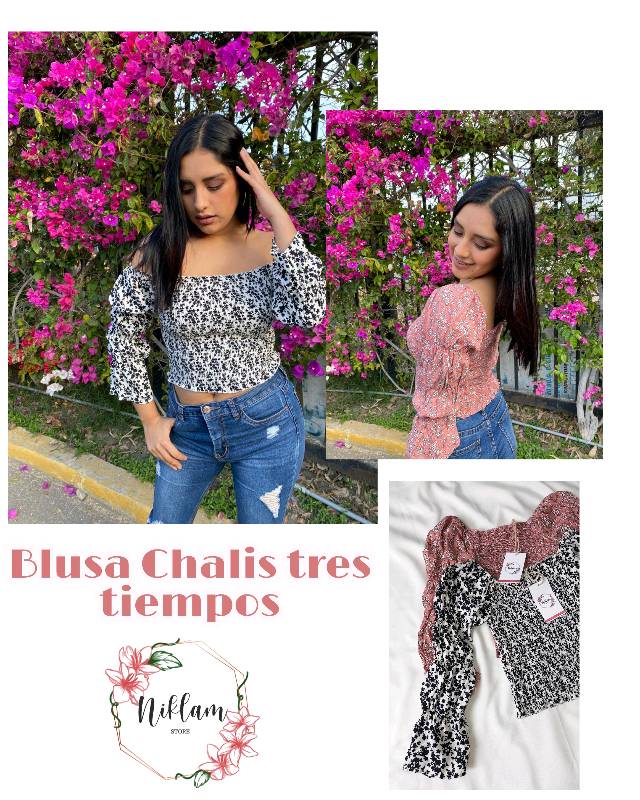 Blusa chalis top