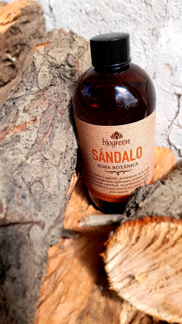 Sandalo 2019 clearance