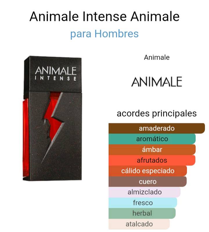 Perfume animale sales intense hombre