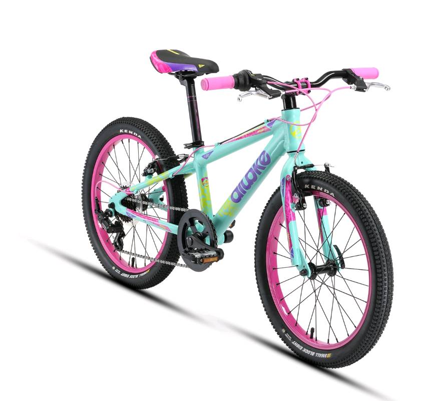 Alubike shop rodada 20