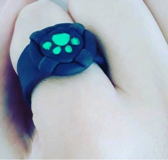 Anillo store cat noir