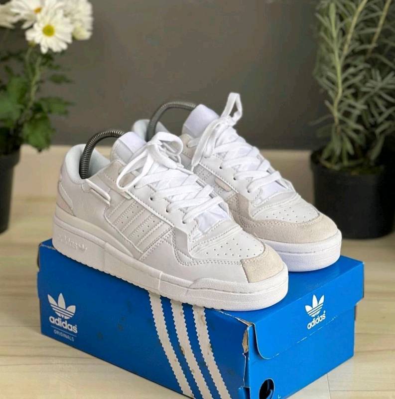 Adidas forum deals dama