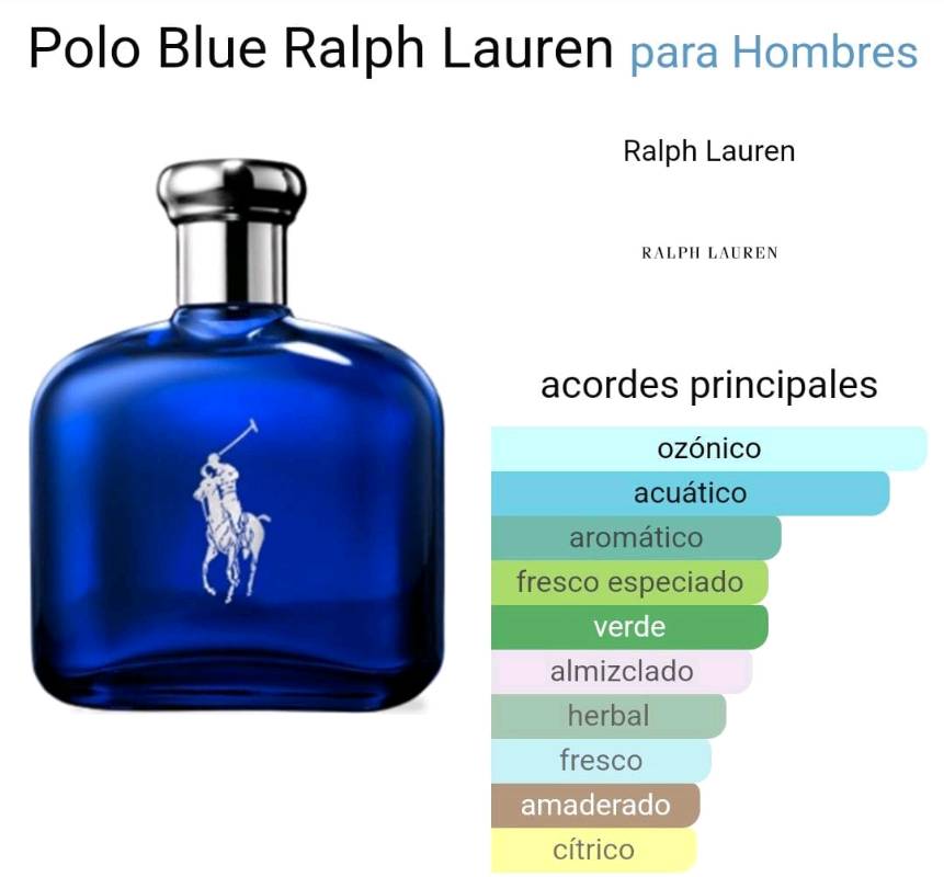 Polo blue descripcion cheap