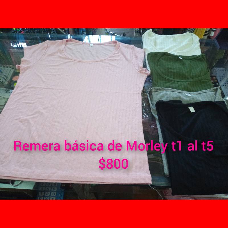 Remeras basicas de morley top
