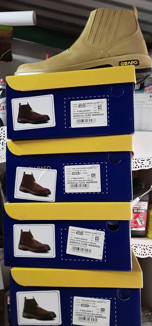 Zapato on sale guapo precio