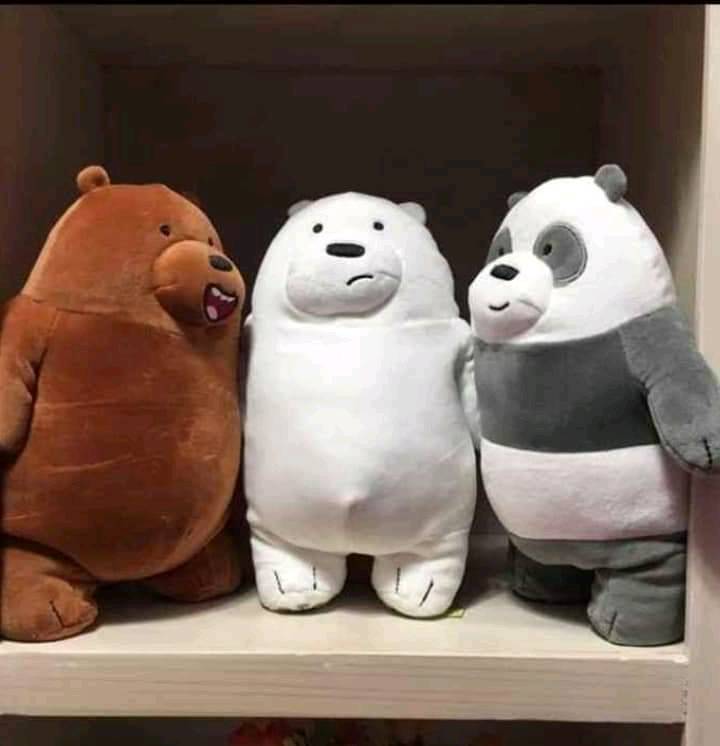 Peluches pardo panda shop polar
