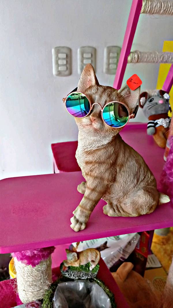 Gafas clearance para gatos