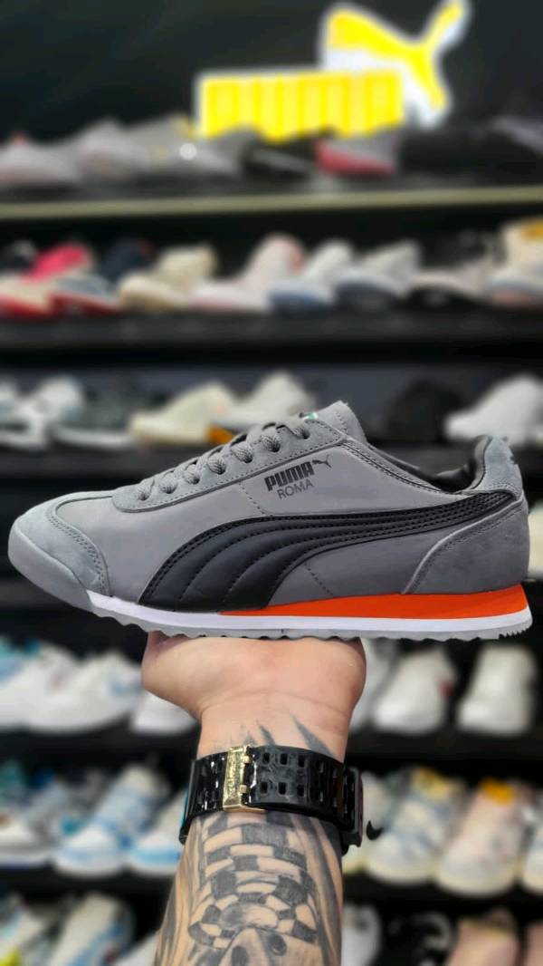 Puma
