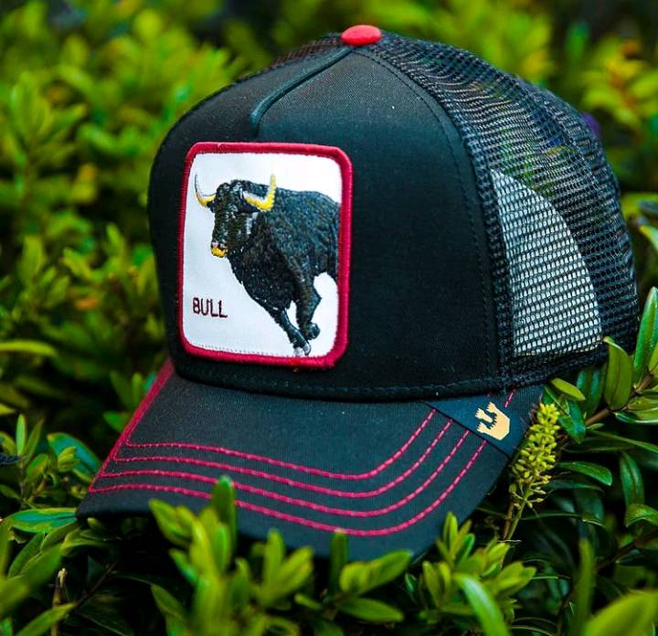 Gorra goorin bros bull deals