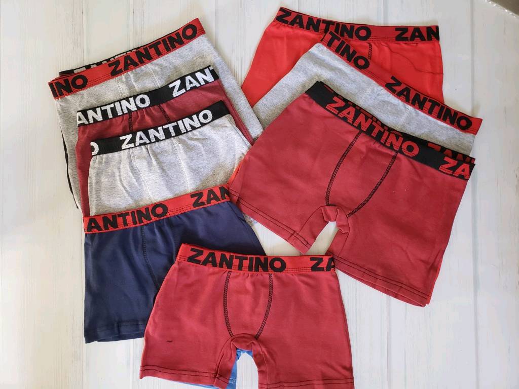 Boxer ni o zantino