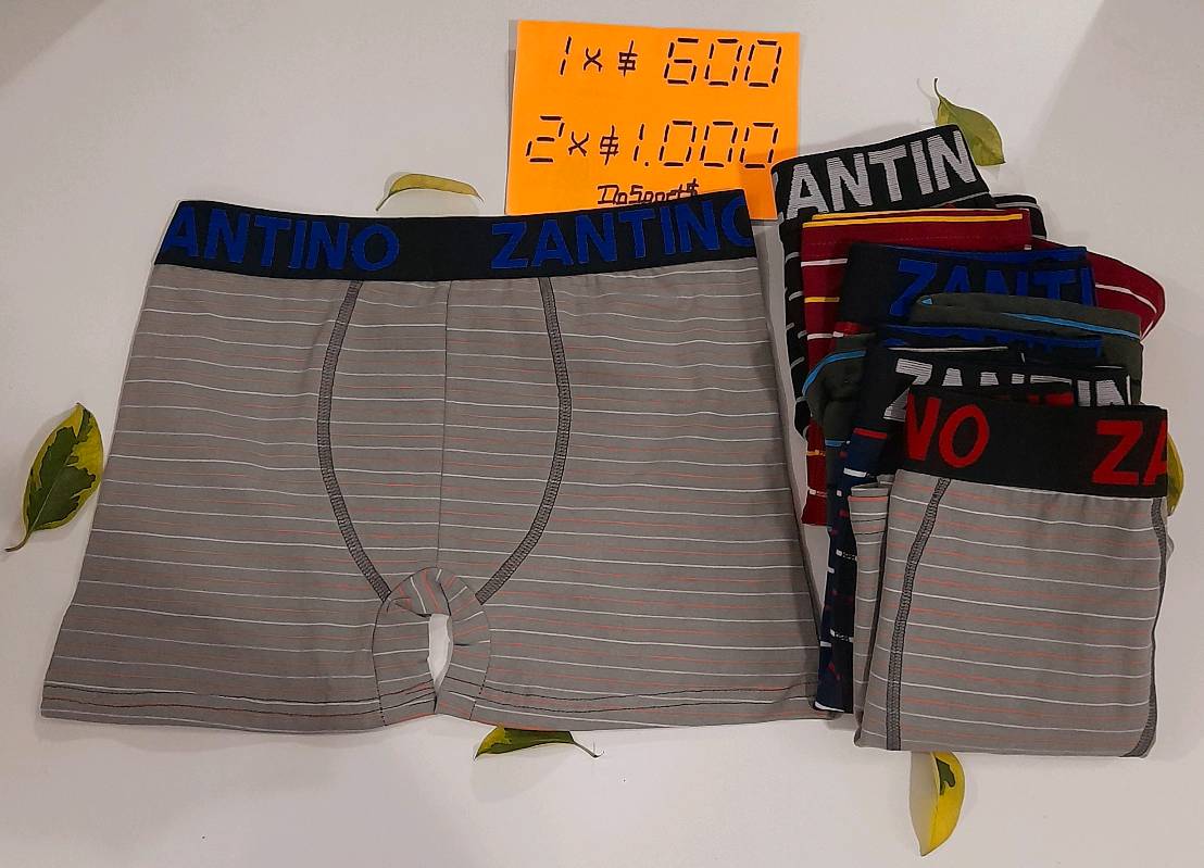 Boxer zantino fabrica outlet