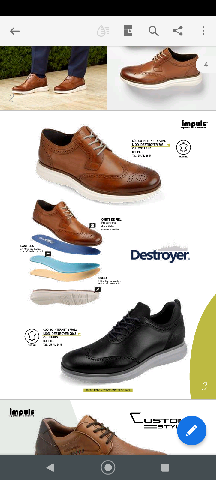 Zapatos destroyer outlet para dama