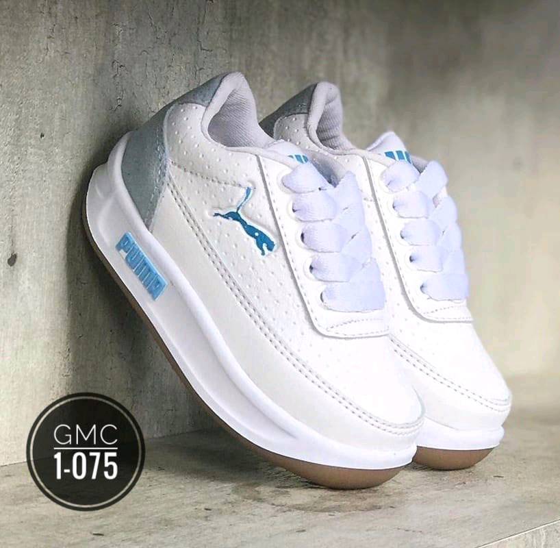 Puma en Panama