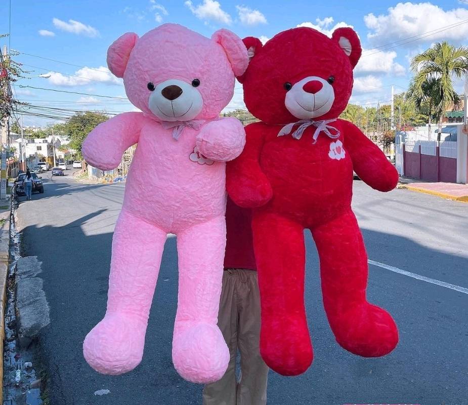 Venta de hot sale peluches santo domingo