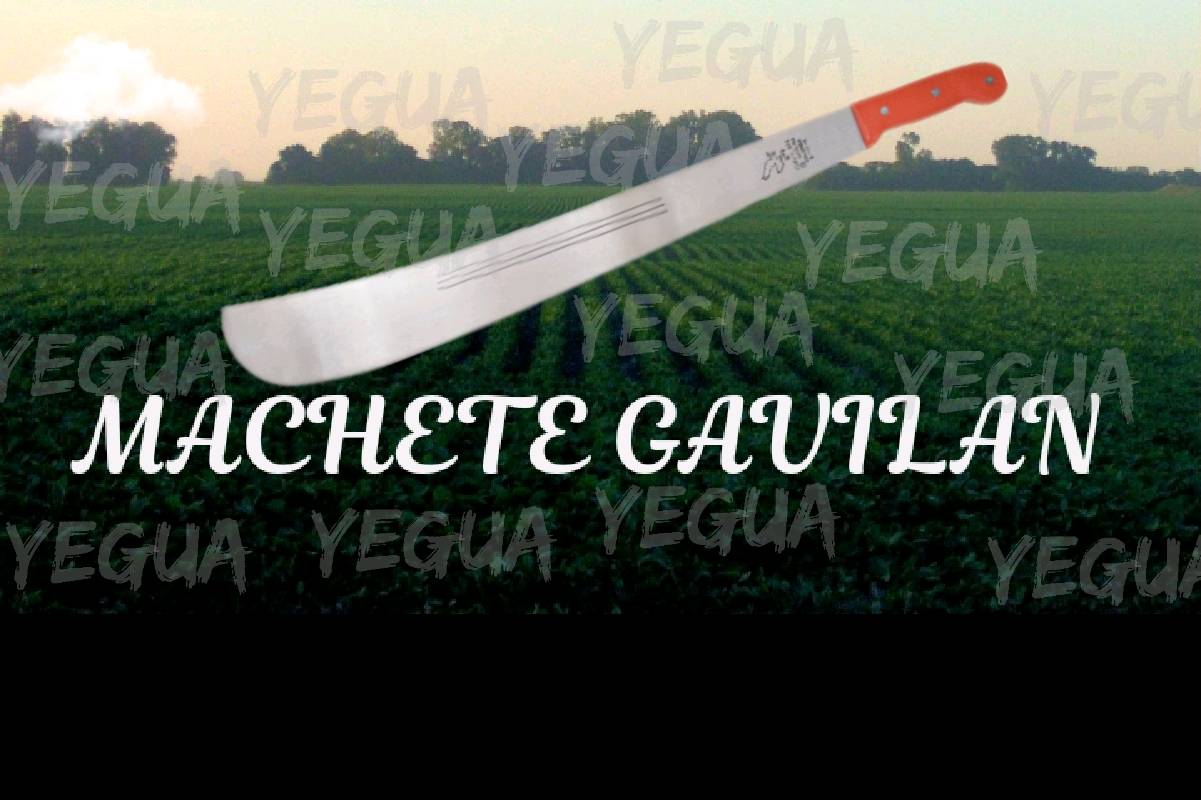 Machete gavilan en Buena Fe