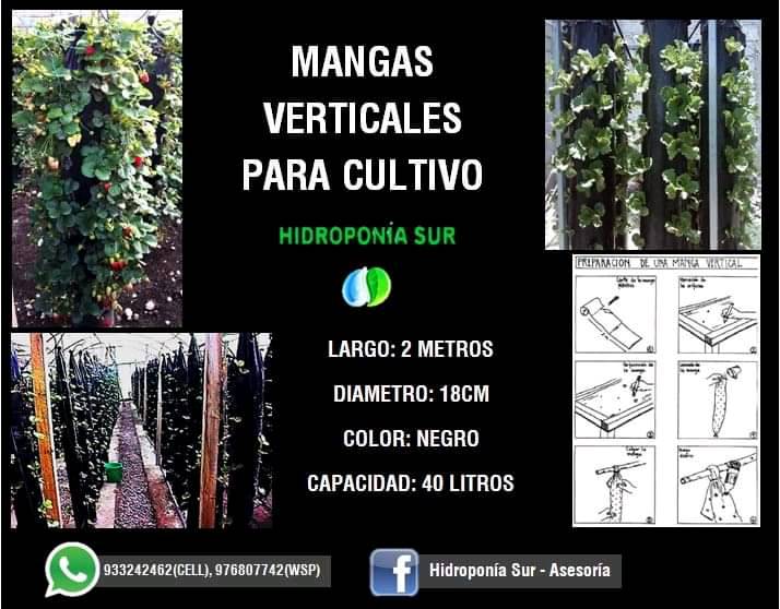 Mangas verticales en Arequipa
