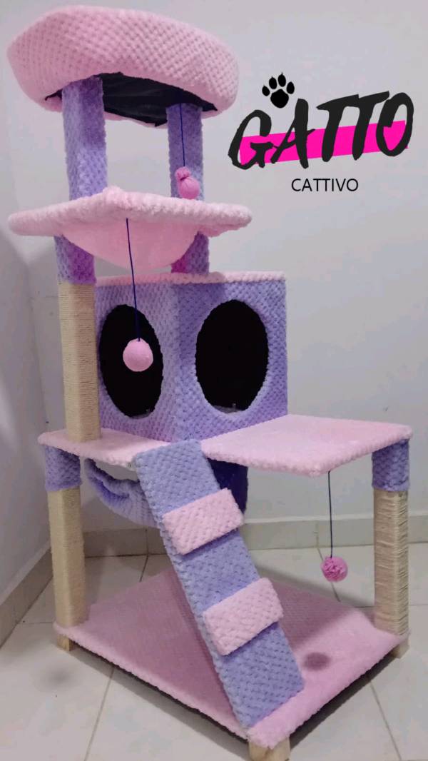Gimnasio gatuno hot sale