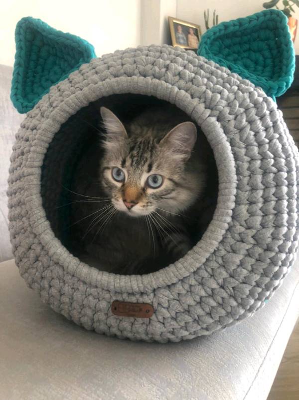 Camas tejidas 2025 para gatos