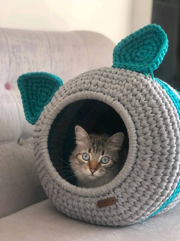 Cama para gatos