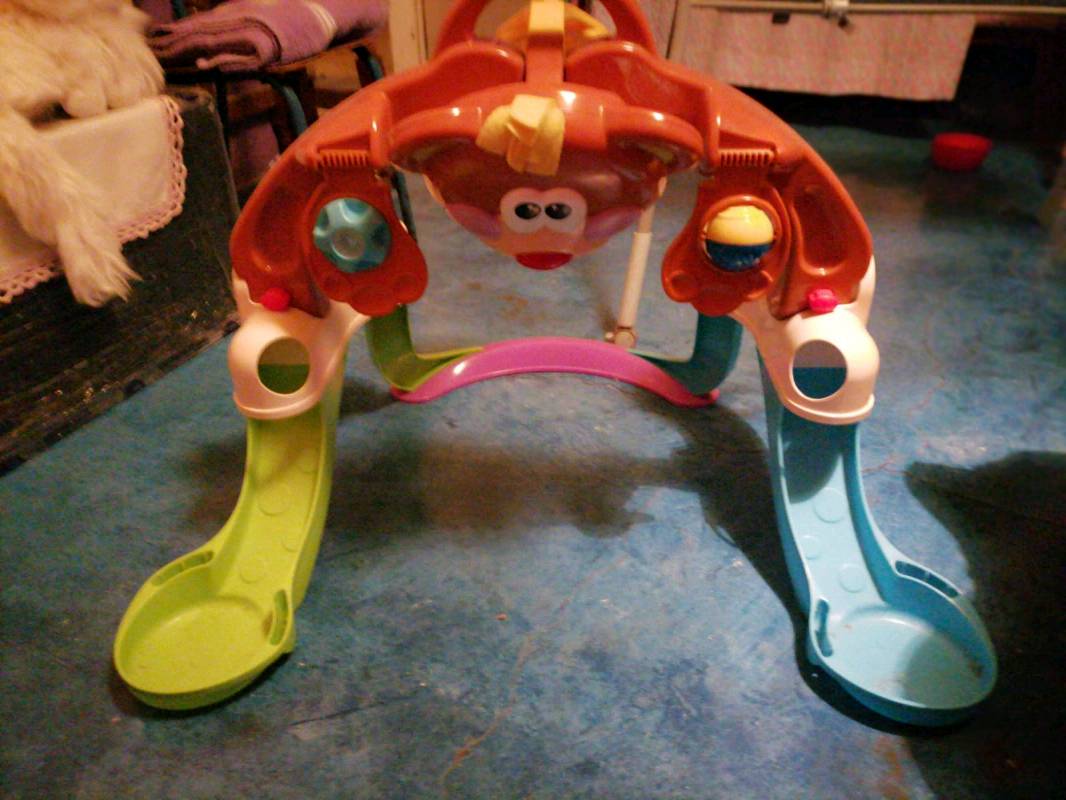 Oso gimnasio fisher price on sale