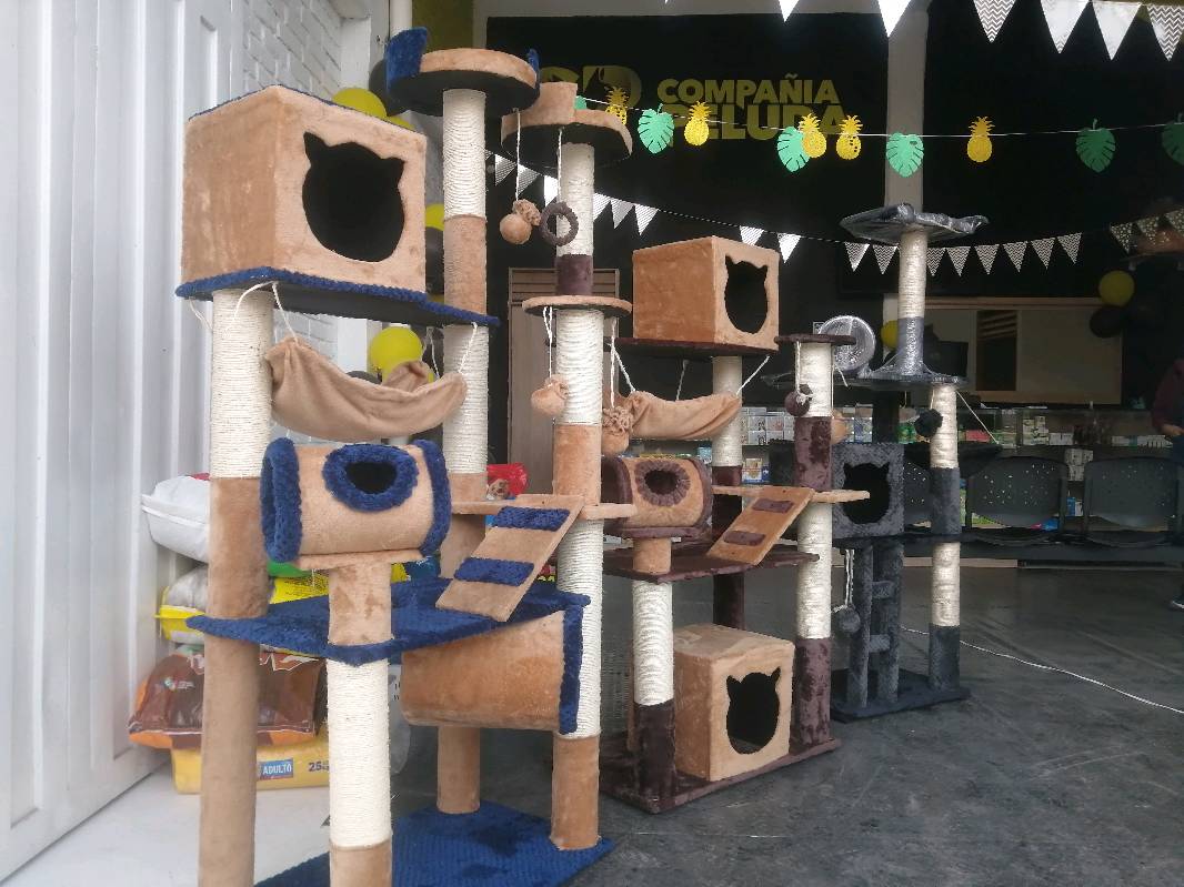 Venta de gimnasios on sale para gatos