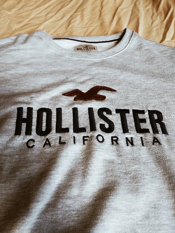 Hollister buzo sales