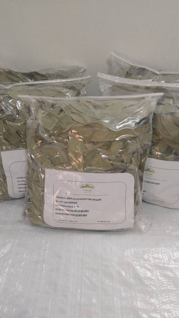 Hojas de Eucalipto para infusión 1 kg. en Xochimilco