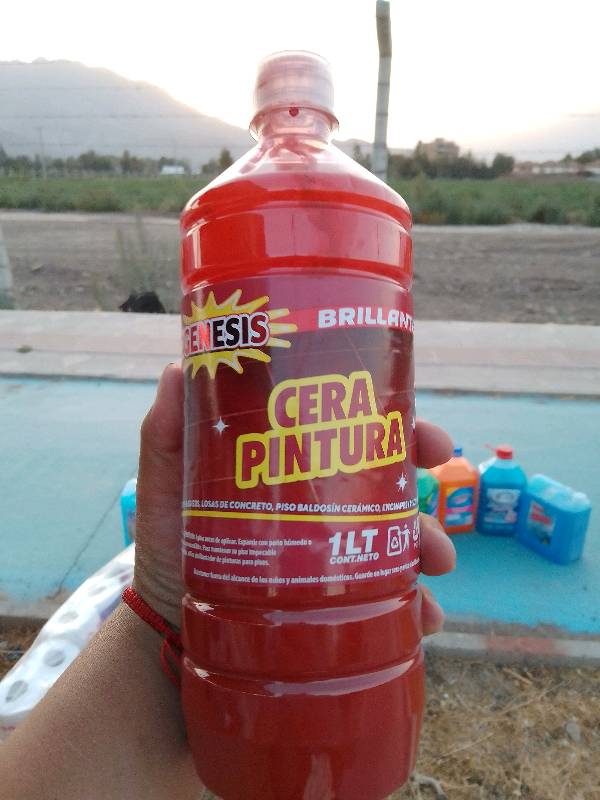 Cera pintura g nesis