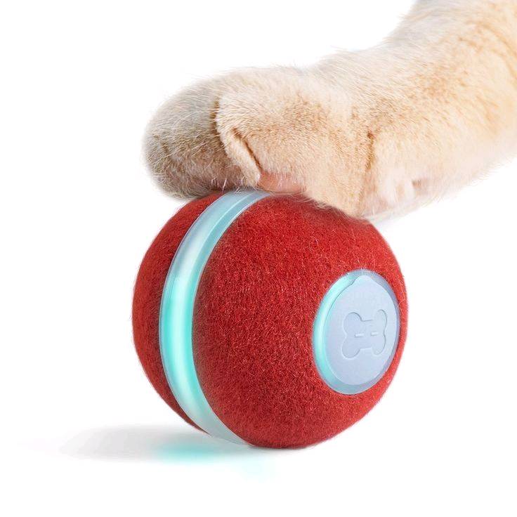 Pelota interactiva online para gatos