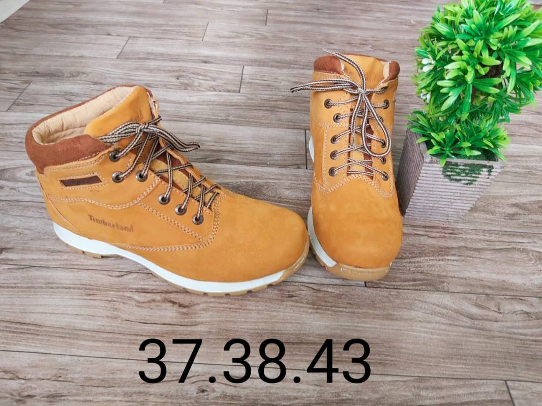Golfitos zapateria 2025