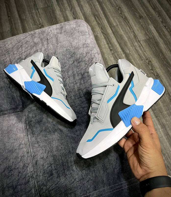 Puma caballero