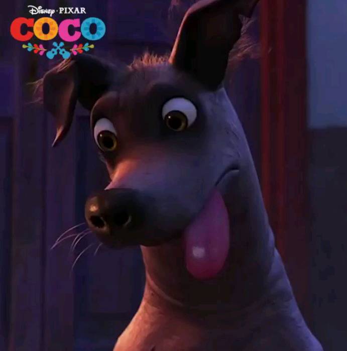 Peluche Dante Coco