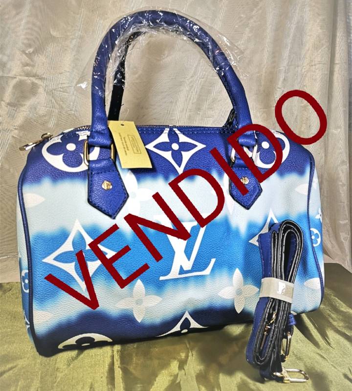 Cartera louis deals vuitton azul