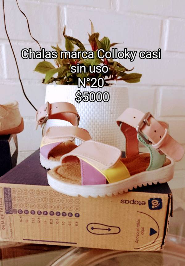 Colloky chalas online