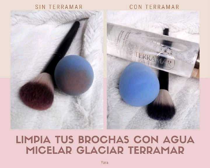 Brochas 2024 terramar precio